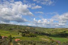 Immagine di anteprima per: Maremma Toscana: Il fango nel cuore