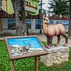 Foto: Riproduzione del Camoscio Appenninico - Parco in Miniatura  (Amatrice) - 11