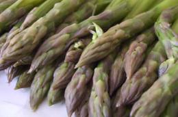 Ricetta - Tagliolini asparagi e speck 