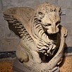 Foto: Leone con Cartiglio Museo dell' Opera - Duomo di Santa Maria Assunta - sec. XIII (Siena) - 29