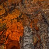 Foto: Stalattiti e Stalagmiti - Grotte di Collepardo (Collepardo) - 12